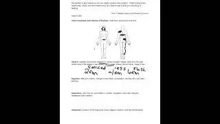 Understand Your Body and Heal Yourself With Natural and Scienced Based Reasoning