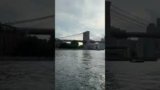Dumbo  