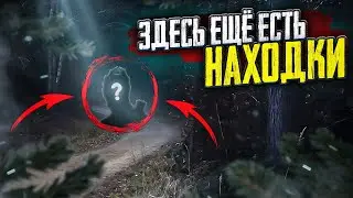 Здесь еще есть находки. Лесной поиск с металлоискателем.