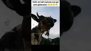 1 Ağustos 2022