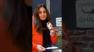 Nourir les OISEAUX au jardin