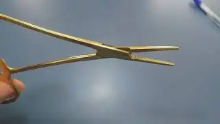 Pinça De Limpeza De Ouvido 13 Cm Reta Pet Maryam Trading