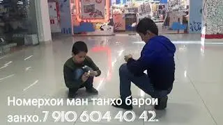 дамашний каклет.🥰😁