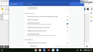 Using Speech-to-Text and Text-to-Speech with Chromebook's Built-in Accessibility Features