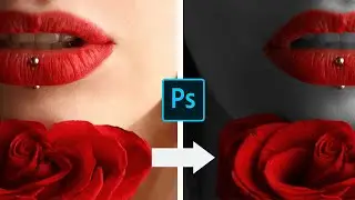 Color Splash | Photoshop Tutorial | For Beginners