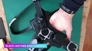 Black leather dog harness Lazypony