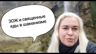 Нео шаманы, ЗОЖ, священные яды в шаманизме