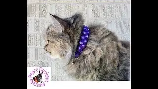 How to make a paracord cat collar - stitched Solomon's dragon