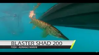 BLASTER SHAD 200 CON ADRIANO MARINI