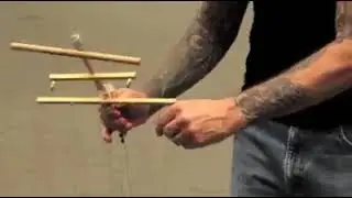 Когда нибудь видели таког о