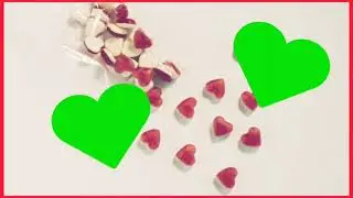 valentine's day | special effect | green screen | Video #03