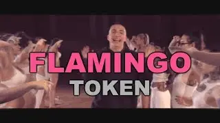 TOKEN - Flamingo Lyrics