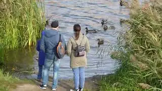 Йошкар-Ола, горожане, утки...🦆🦆🦆 📸 Panasonic Lumix DMC-TZ80 (09.10.2022 г.)