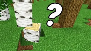 minecraft but more different