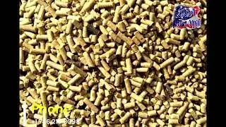 DIY Flat Die Animal Feed Pellet Mill - Step-by-Step Guide