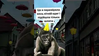 Літо-шляпа😂