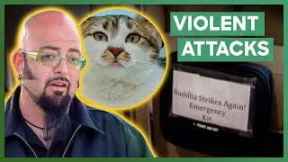 Jackson Galaxy Meets A Couple With A First Aid Kit For Aggressive Cat | My Cat From Hell