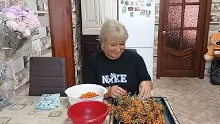 Съездила по ОБЛЕПИХУ