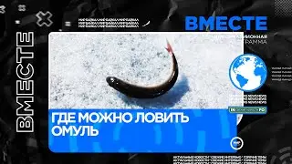 Где можно ловить омуль