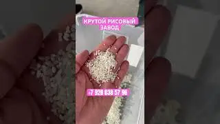 Мини рисовый завод #рис #дагестанка #китай #рис #кукуруза #овес #пшено #ячмень #горох #зерновые