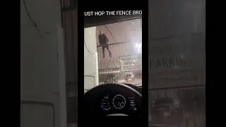 WHY DID HE DO THIS ? 