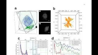 Near-Isotropic Sub-Ångstrom 3D Resolution Phase Contrast Imaging Achieved by End-to-End