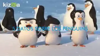 5 datos sobre los pinguinos
