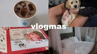 vlogmas 2022| spending the day with my friends in Boston, shopping & Ellas new puppy!