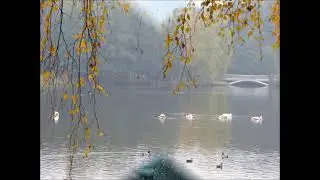 До свиданья, лето