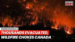 Canada Wildfires 2024 | How Are Canadian Wildfires Choking The US? | World News | US | English News