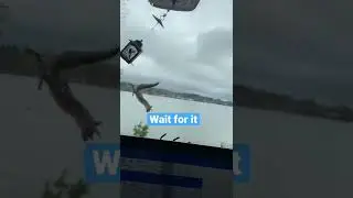 Squirrel fail