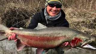 Son Tao: The Healing Power of Flyfishing