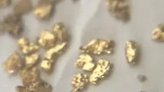 Goldn paydirt review