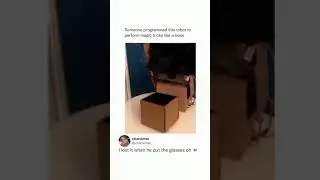 Funny memes video 