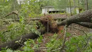 Hurricane Helene Damage #3