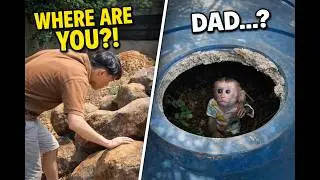 Where Is My Baby…? Dad Couldn’t Find Dolly Anywhere