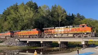 5 Trains! BNSF + Amtrak From Meadowdale Beach! The Most Beautiful Railfan Location!