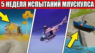 ПРОХОЖДЕНИЕ ИСПЫТАНИЯ МЯУСКУЛСА 1 НЕДЕЛЯ ФОРТНАЙТ КАК ПРОЙТИ 5 НЕДЕЛЮ  В ФОРТНАЙТ ИСПЫТАНИЯ 5 НЕДЕЛЯ