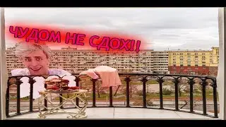 ШОК ВЛАДИК - ВЛАД А4 УПАЛ С БАЛКОНА И ЧУДОМ НЕ СДОХ!!!! СМОТРЕТЬ ВСЕМ!!