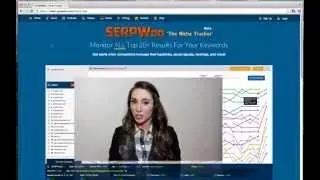 SERPWoo - Overview - Niche Monitoring Tool