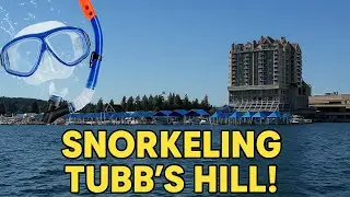 Snorkeling Tubb’s Hill: I Found a Ring, an iPhone, and a Giant Bass in Coeur d’Alene Lake!