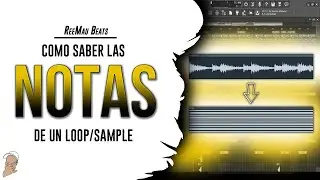 Como SABER las NOTAS de un SAMPLE | Fl Studio 20
