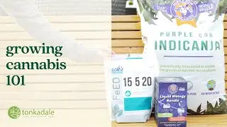 Growing Cannabis 101