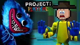 COMO JOGAR PROJECT: PLAYTIME