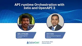 API runtime Orchestration with Istio and OpenAPI 3