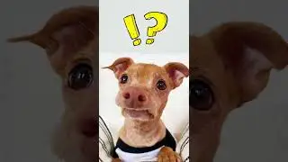 😲 На Что Способна Нейросеть? Ржачные Картинки по Описанию