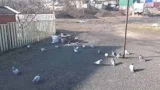 15 марта Спринтер  поехал на новую  дистанцию