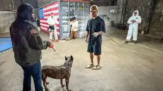 🚨⚠️ INVADI O CONTAINER COM O RAMBINHO E DEU TUDO ERRADO...