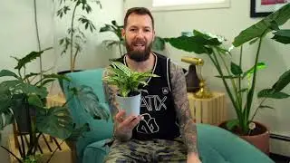 My New Favorite Plant!?
