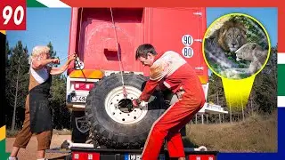 Je crève en camion lors d'un safari avec des lions en Afrique du Sud